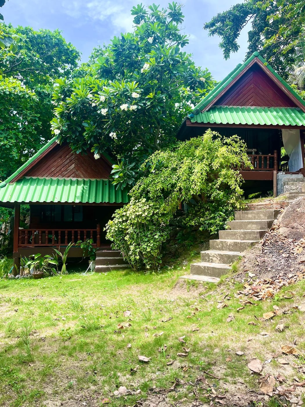 View of Havaya bungalows nestled in nature